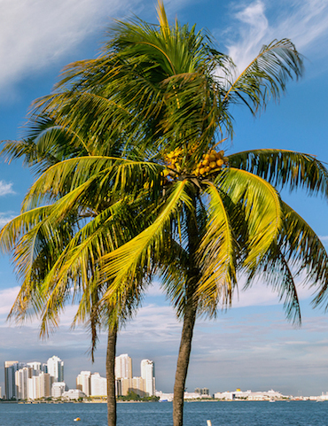 business with real e